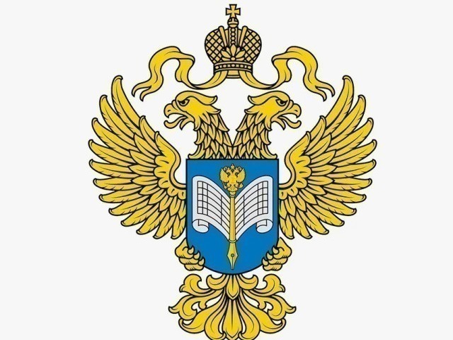 СКОЛЬКО НОВЫХ ОРГАНИЗАЦИЙ В КУРСКОЙ ОБЛАСТИ.